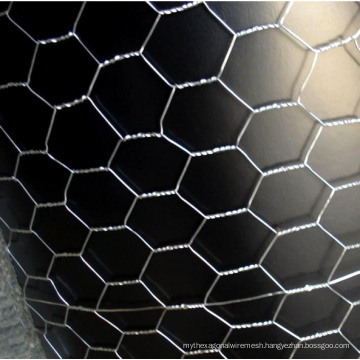 Electro Galvanized Hexagonal Wire Netting